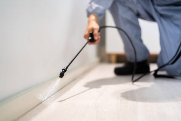 Certified termite inspector examining foundation in Como